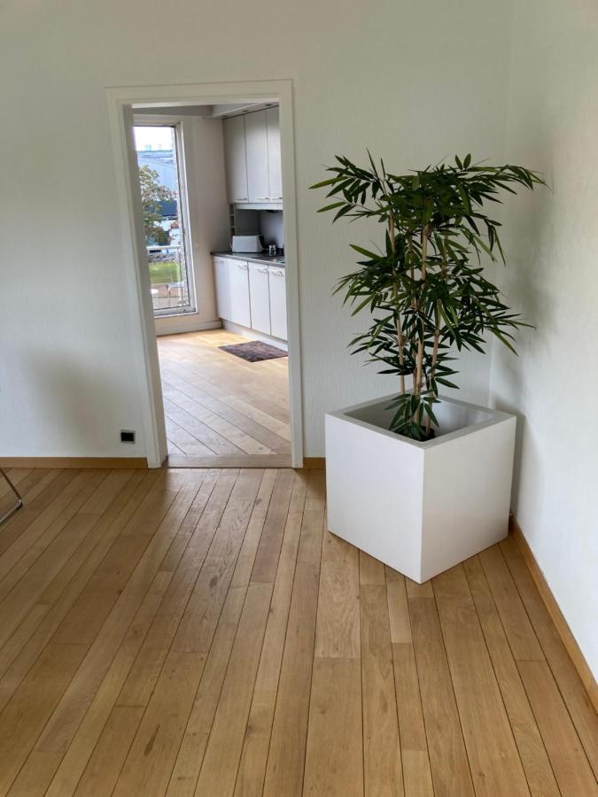 אנטוורפן Lichtrijk Mooi Appartement Met Zicht Op Hof Van Roosendael מראה חיצוני תמונה